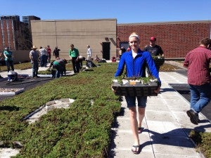 GreenRoof7-2015