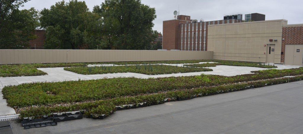 The green roof on top of the Engineering Complex has sections containing different plants that fit together like puzzle pieces.