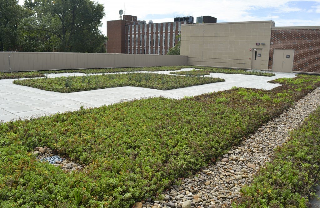 The green roof on top of the Engineering Complex has many green properties including extending the life of the roof, reducing heating and cooling costs, providing habitats for wildlife and diverting water from the storm drain system.