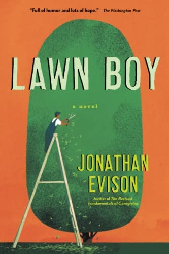 lawn boy cover