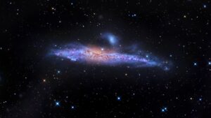 Discovery of a stellar tidal stream and new satellite galaxies around the Whale galaxy, NGC 4631