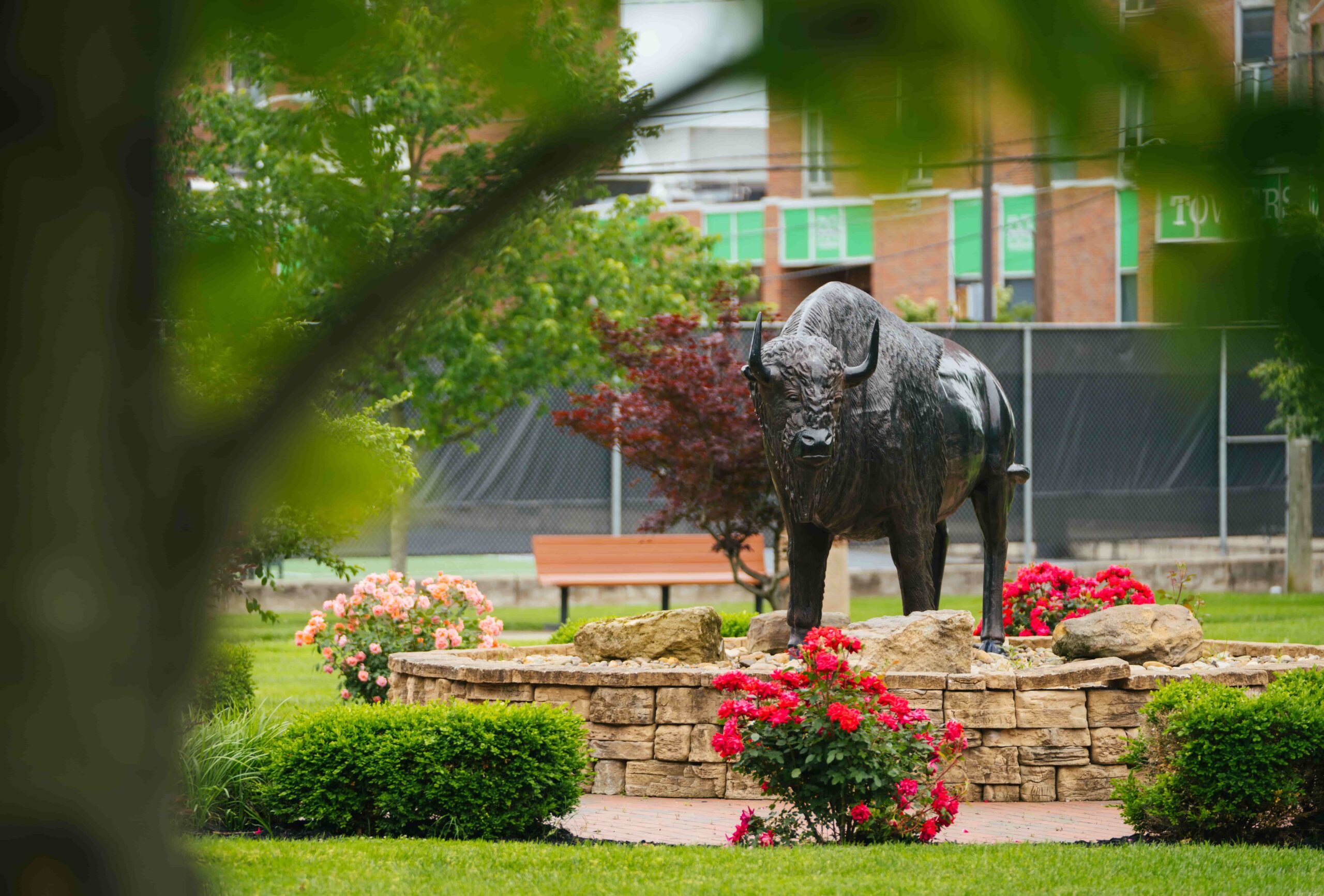 campus buffalo